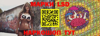 a pvp Камышлов