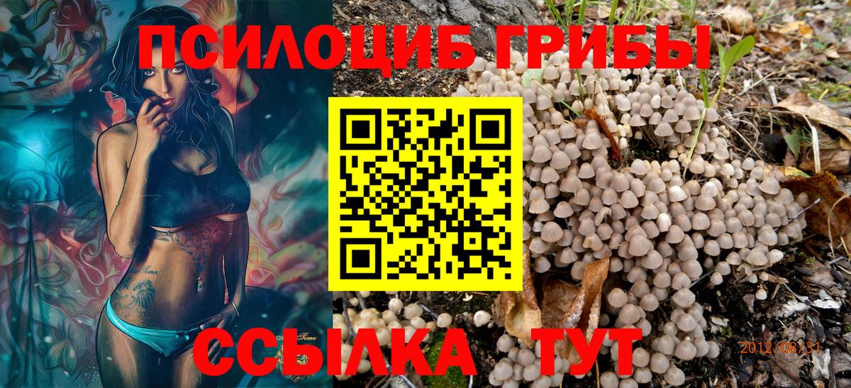 купить  сайты  Вход с VPN  Заволжье  Галлюциногенные грибы мицелий 