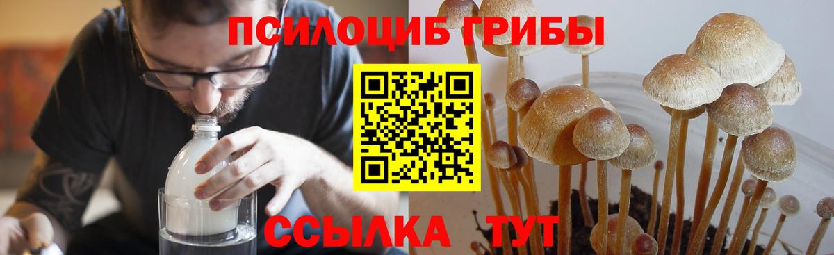 Псилоцибиновые грибы мухоморы Заволжье